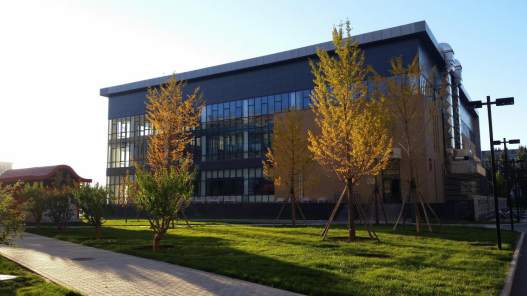 1610340087(1).jpg 1610340087(1).jpg