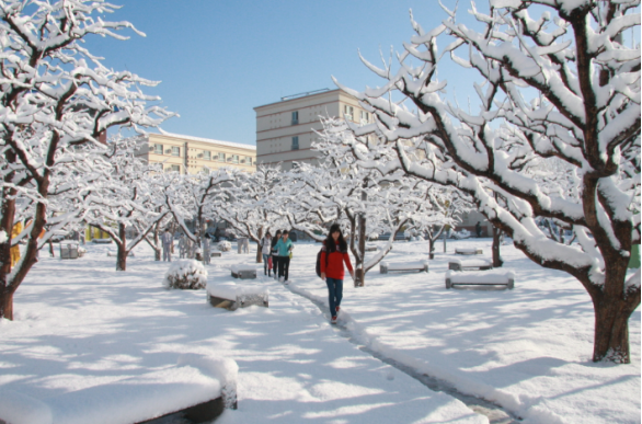 78469a72f25bb53f2f8b9dab305f8bc.png 78469a72f25bb53f2f8b9dab305f8bc.png